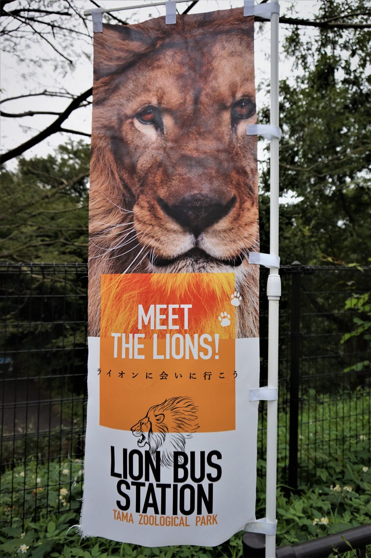 ライオンバス体験記 多摩動物公園のライオンバスに乗ってきました 多摩動物公園基本情報から乗ってみた感想 注意点など写真満載 きょうもだんなに片思い